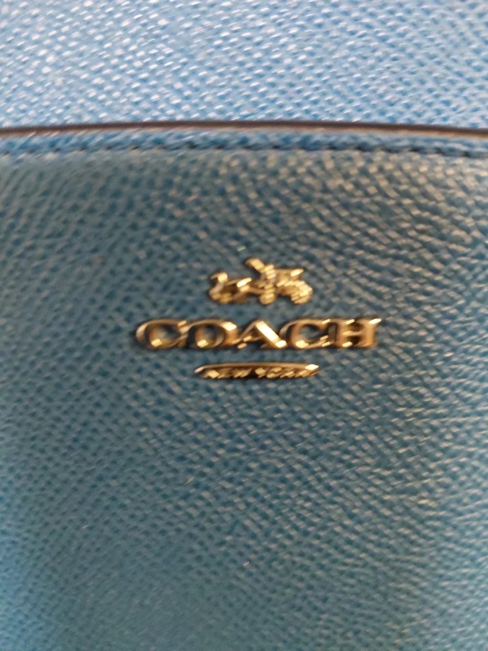 Coach Blue Crossbody Leather Bag